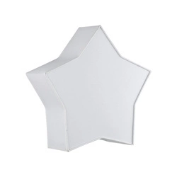 STAR WHITE LAMPA SUFITOWA 2 4514