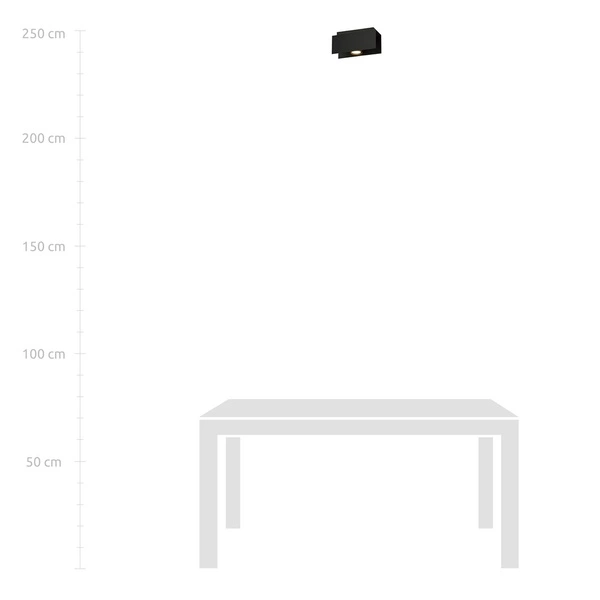 Lampa sufitowa Emibig KENNO 1 Czarny 1141/1