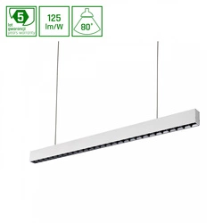 ALLDAY INSPIRE ONE DARK LIGHT 80st CZARNY 940 46W 230V 1680mm BIAŁY