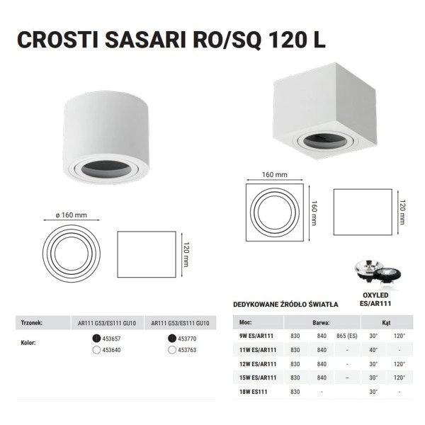 Oprawa sufitowa spot tuba natynkowa CROSTI SASARI RO 120 L biały śr. 16cm