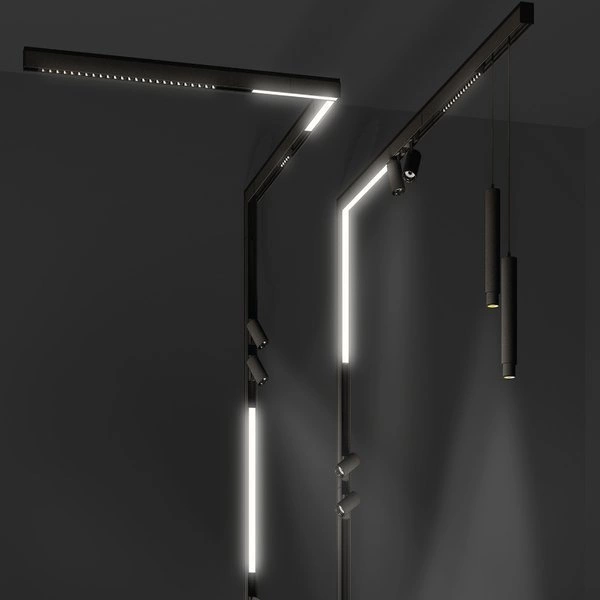 Szynoprzewód WLD niskonapięciowy dwu fazowy 2F 24V 1m | czarny