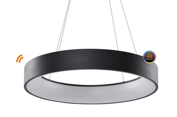 SOLVENT R PENDANT 110 WH + REMOTE CONTROL