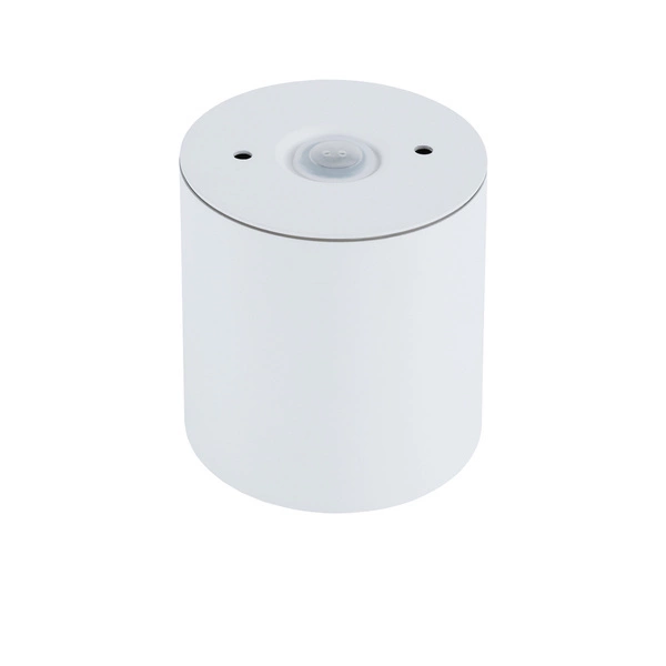 Spot sufitowy CEARA śr. 8,5cm GU10 | biały 10715