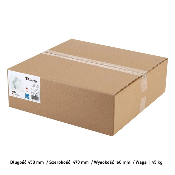 STAR GRAY LAMPA SUFITOWA 2 6972