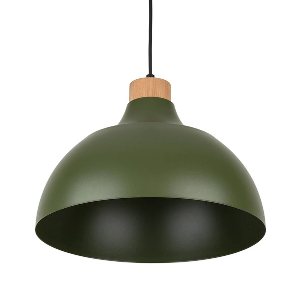 CAP GREEN LAMPA WISZĄCA 1 PŁ 5665