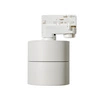 Azzardo COSTA TRACK 3LINE 12W 3000K WH 4550