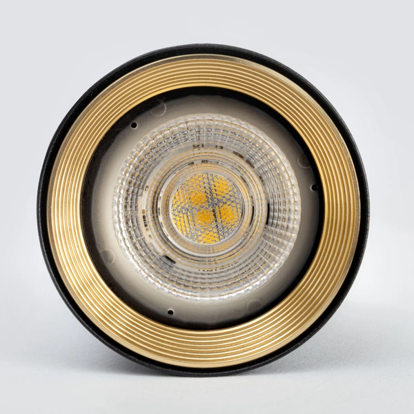 AMIS BLACK DOWNLIGHT