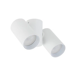 AMIS WHITE DOWNLIGHT 2XGU10