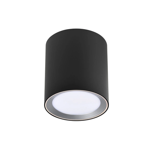 Lampa sufitowa LandonSmar LED 2700-6500K Biała zmienna (CCT) Metal | Czarny
