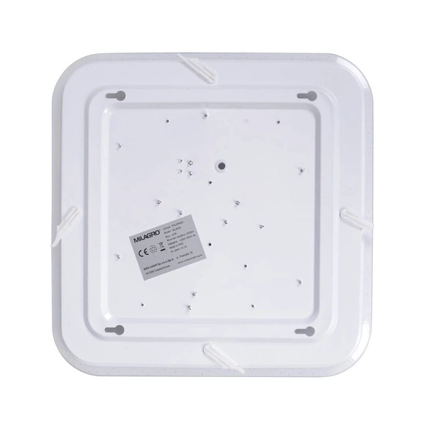 Lampa sufitowa WILSON WHITE 2xGU10