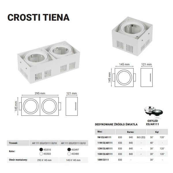 Oprawa wpuszczana downlight CROSTI TIENA DUE biały szer. 29,5x14,5cm