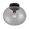 Lampa sufitowa ALTON E27 25W Szkło | Czarny
