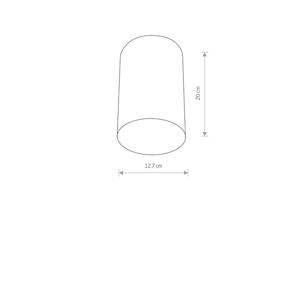 Lampa sufitowa/spot POINT PLEXI WHITE L śr.13cm 6528