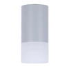 Lampa sufitowa TUBA 2273686, mrożony + szary, 1x15W GU10