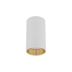 AMIS WHITE  DOWNLIGHT