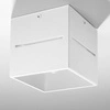 Nowoczesny plafon LOBO SL.0209 Biały 1xG9