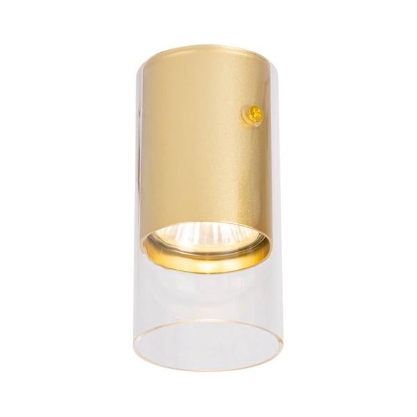 Oprawa Ricky Downlight Złoty 1xGU10