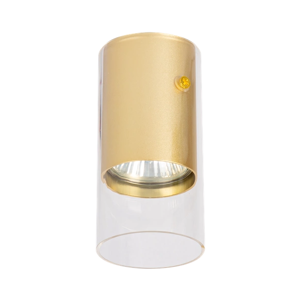 Oprawa Ricky Downlight Złoty 1xGU10