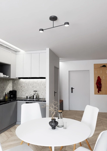 Lampa sufitowa Emibig HALO 2 Czarny 1355/2