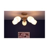 Lampa sufitowa z drewna Parma 5xE27 maks. 60W dąb olejowany/chrom metal/białe szkło 8320574