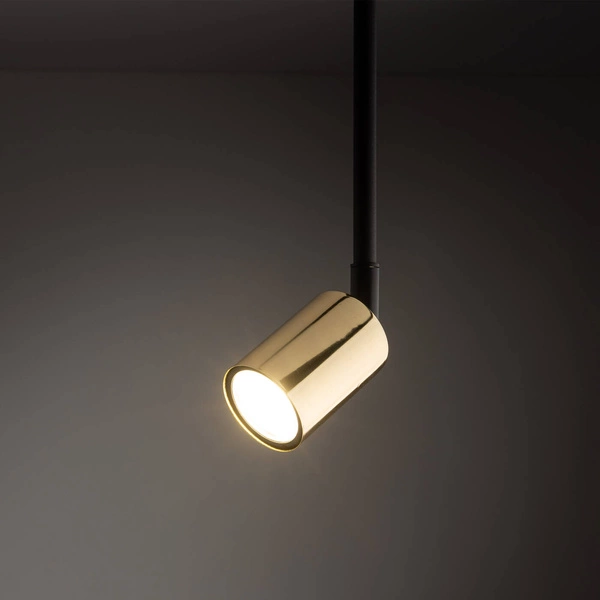 TRACER GOLD LONG GU_10 4920