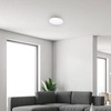 Plafon SIENA, ML262, biały/chrom, 25W LED, Ø350 mm + pilot