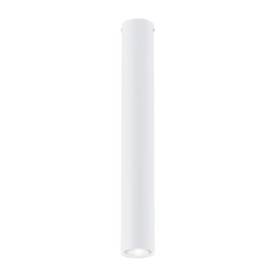 Lampa sufitowa Emibig TECNO 1L Biały oprawa oświetleniowa 1317/1L