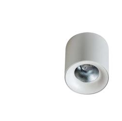 Azzardo MANE 20W WH 4152