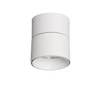 Lampa punktowa Biała 15W Spot LED 2700-3200K Abruzzo Romeo 11x9cm