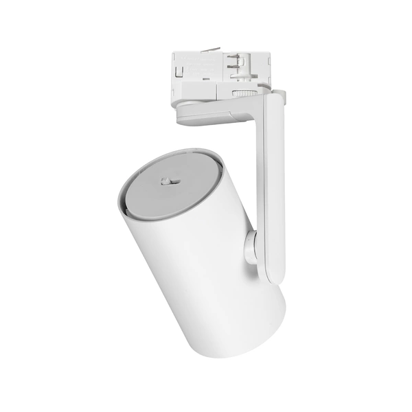 Reflektor Timor 30W 2700/4000K Biały 3 Obwodowy