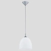 Lampa wisząca ALFA DAWID SREBRNA 1xE27 23cm | 9106