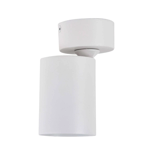 Lamp ścienna/sufitowa SNOW, biała, 1x50W GU10