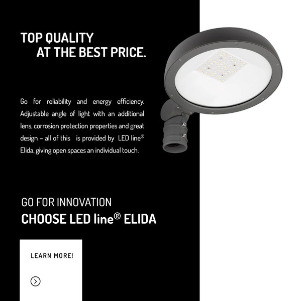 Oprawa uliczna na słupek LED ELIDA 40W 4000K neutralna IP65 | grafitowy