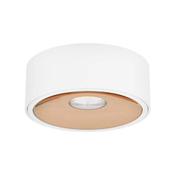 Orlicki Design Neo Bianco Slim KG / Ufo Gold OR83606