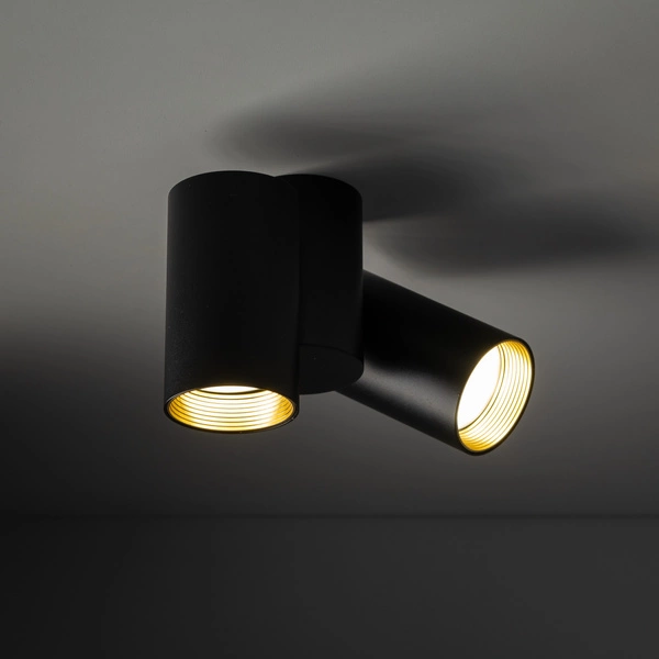 AMIS BLACK DOWNLIGHT 2XGU10