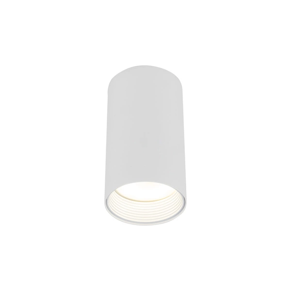 AMIS WHITE DOWNLIGHT
