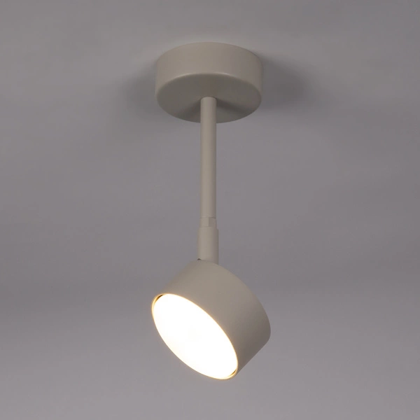 Lampa Sigma NEMO 1 M plafon szary beż 40887