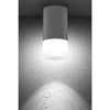 Lampa sufitowa TUBA 2273686, mrożony + szary, 1x15W GU10