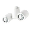 Lampa sufitowa BOSTON 2, biała, 2x50W GU10
