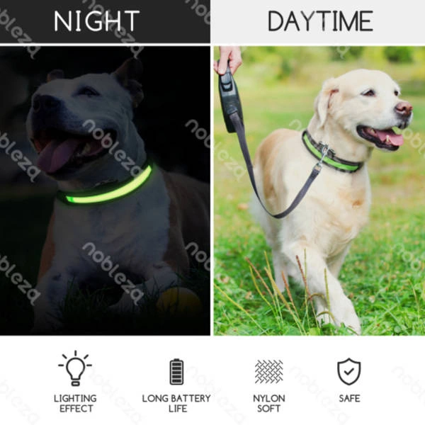 Świecąca obroża typ.B LED dla psa USB dł. 31-41cm | pomarańczowy