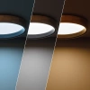 Plafon LED 30W Okrągły 57cm Naturalne Drewno 3 Barwy Świecenia CCT Abruzzo Vero Black