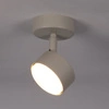 Lampa Sigma NEMO 1 S plafon szary beż 40886