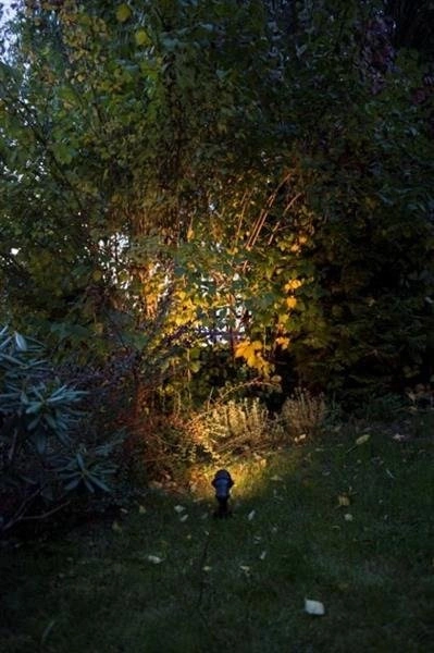 Reflektor Prit TO 3446 czarny