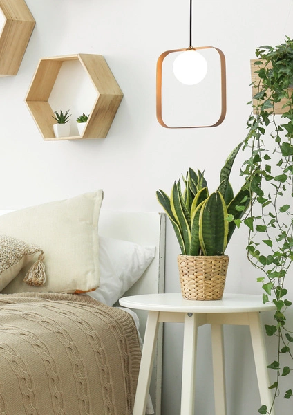 Lampa wisząca TULA LEDEA, 50101073, złoty/biały, 1x28W G9