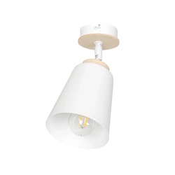 Lampa sufitowa Emibig ATLAS 1 Biały 724/1