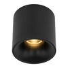 Spot sufitowy tuba BLAZE BLACK 18W 18143