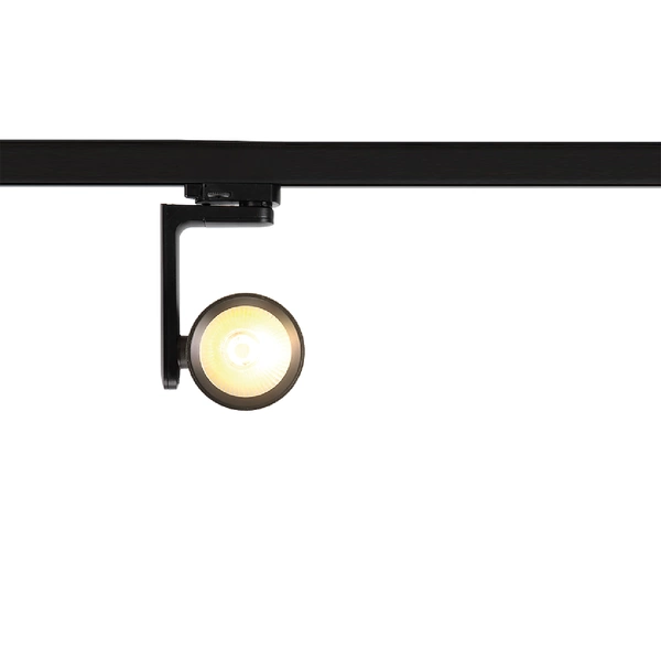 Reflektor Timor 30W 2700/4000K Czarny 3 Obwodowy