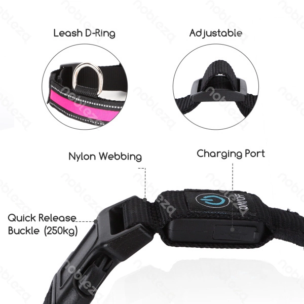 Świecąca obroża typ.A LED dla psa USB dł. 51-61cm | zielony