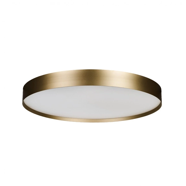 RANT 80 CCT SWITCH DIMM EARTHY