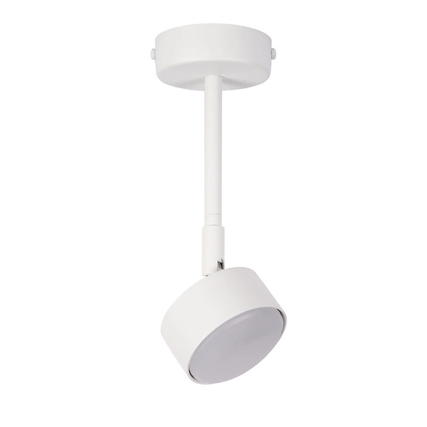 Lampa Sigma NEMO 1 M plafon biały 40979